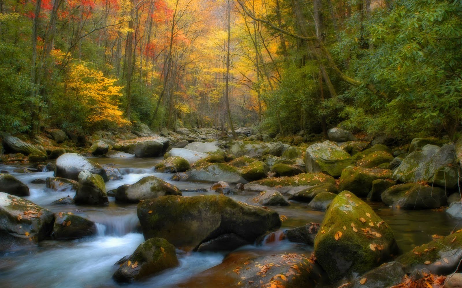 Desktop Nature wallpaper: nature wallpaper desktop, cool nature