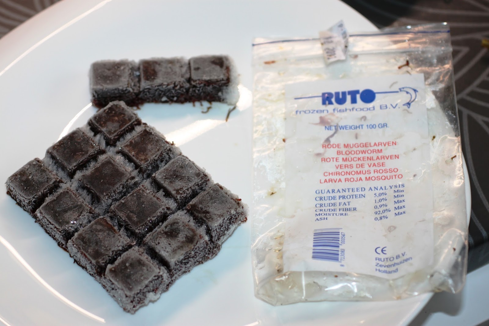 Choose The Right Aquarium Fish Food Ruto