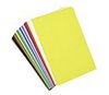 Darice 1040-56 Foamies Sticky Brick Sheet, 6 by 9-Inch, Assorted Color