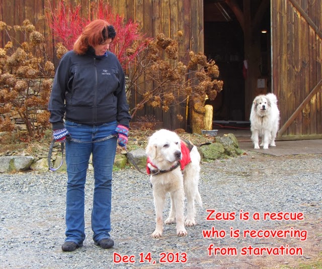 BooneDocksWilcox a fun visit to Apple Hill Farm