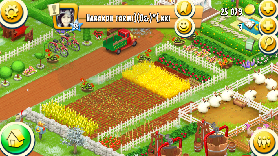Hay Day Showcase How to arrange your crops in Hay Day