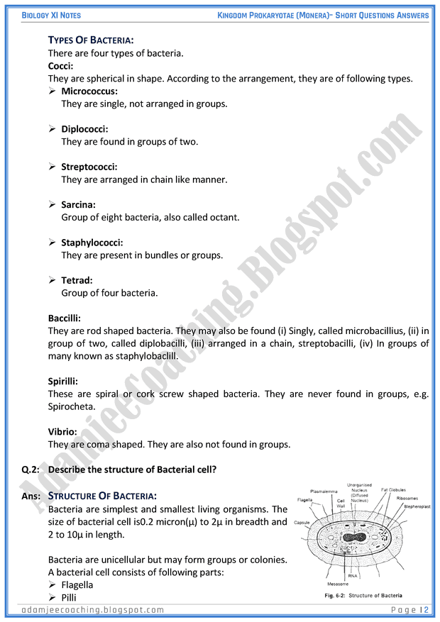 kingdom-prokaryatae-monera-short-question-answers-biology-11th