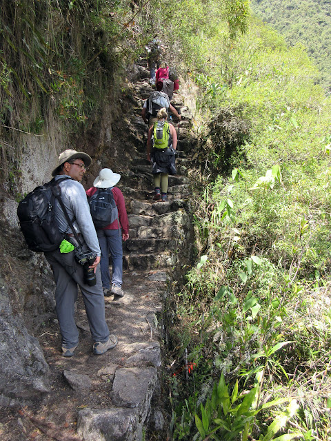 Wynn Anne's Meanderings: Machu Picchu
