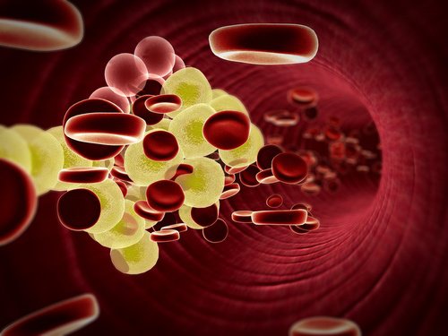 Améliore la santé cardiovasculaire Améliore la santé cardiovasculaire