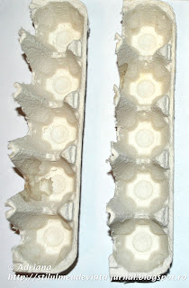 craft, cofraj de oua