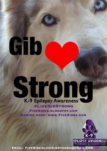 K9 Epilepsy Posts Click Here