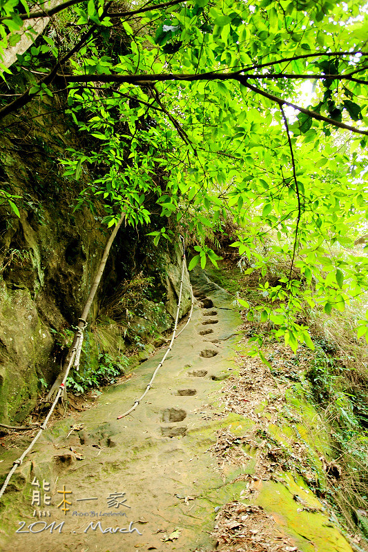 五寮尖媲美皇帝殿|新北三大尖山|玉觀音|龍山巖登山口|五寮尖登頂