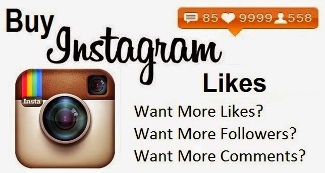 Why Buy Instagram Followers For Cheap - MENAEntrepreneur.org