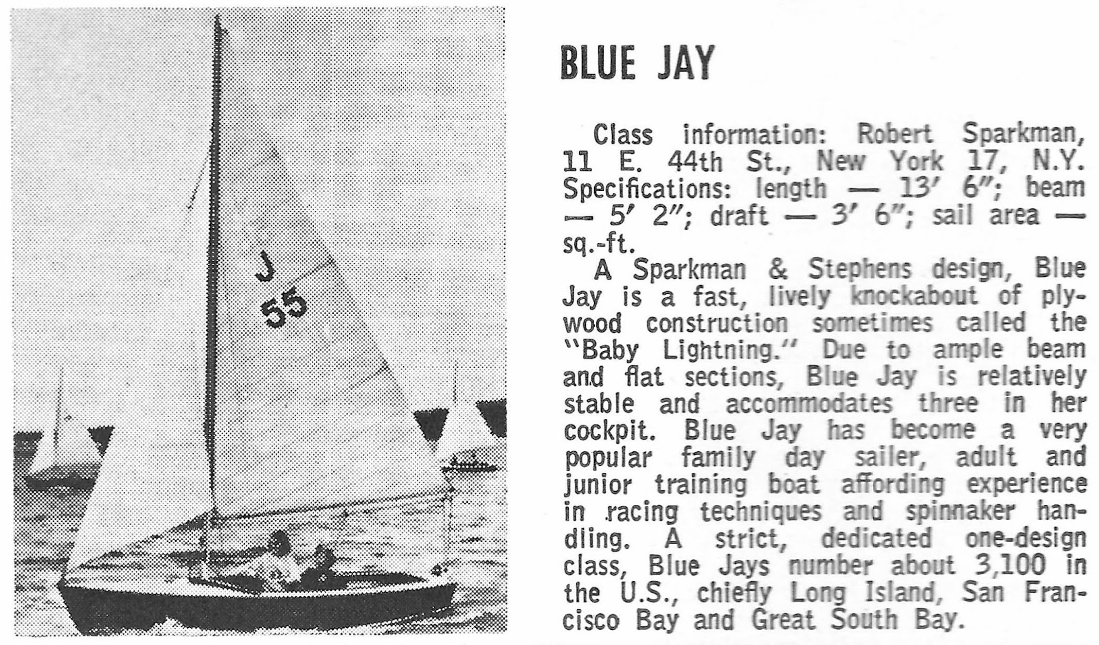 Earwigoagin ODOY Review The Blue Jay