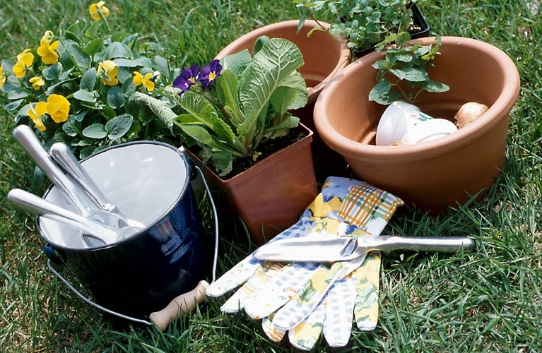 Bucket Outlet Uses for Buckets in the Garden