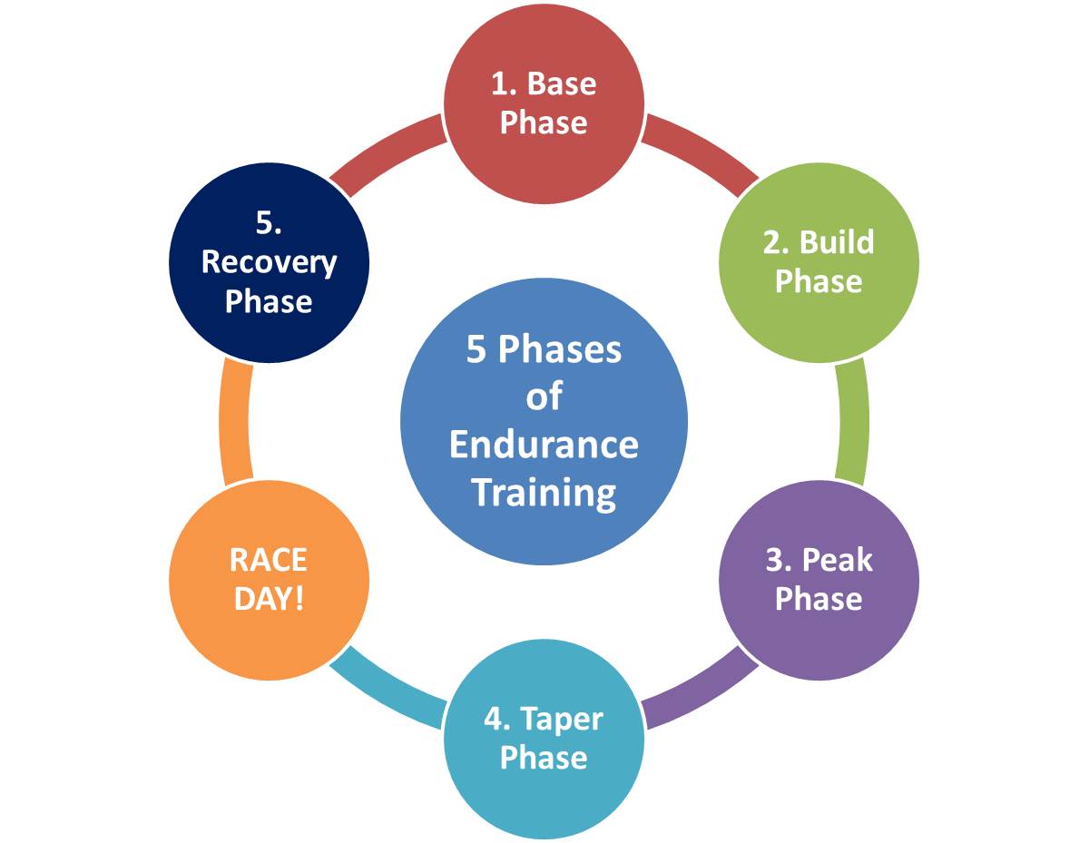 triathlon nutrition periodization