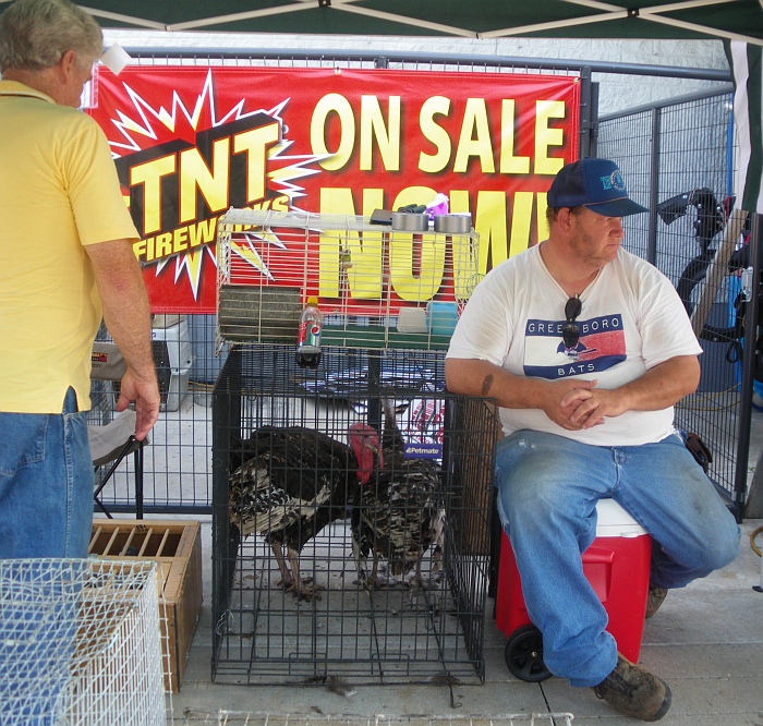 Pratie Place In which we visit a flock swap, then drive to Sanford NC