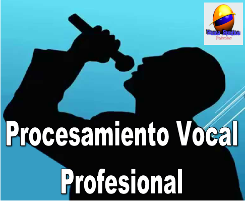  Procesamiento Vocal 