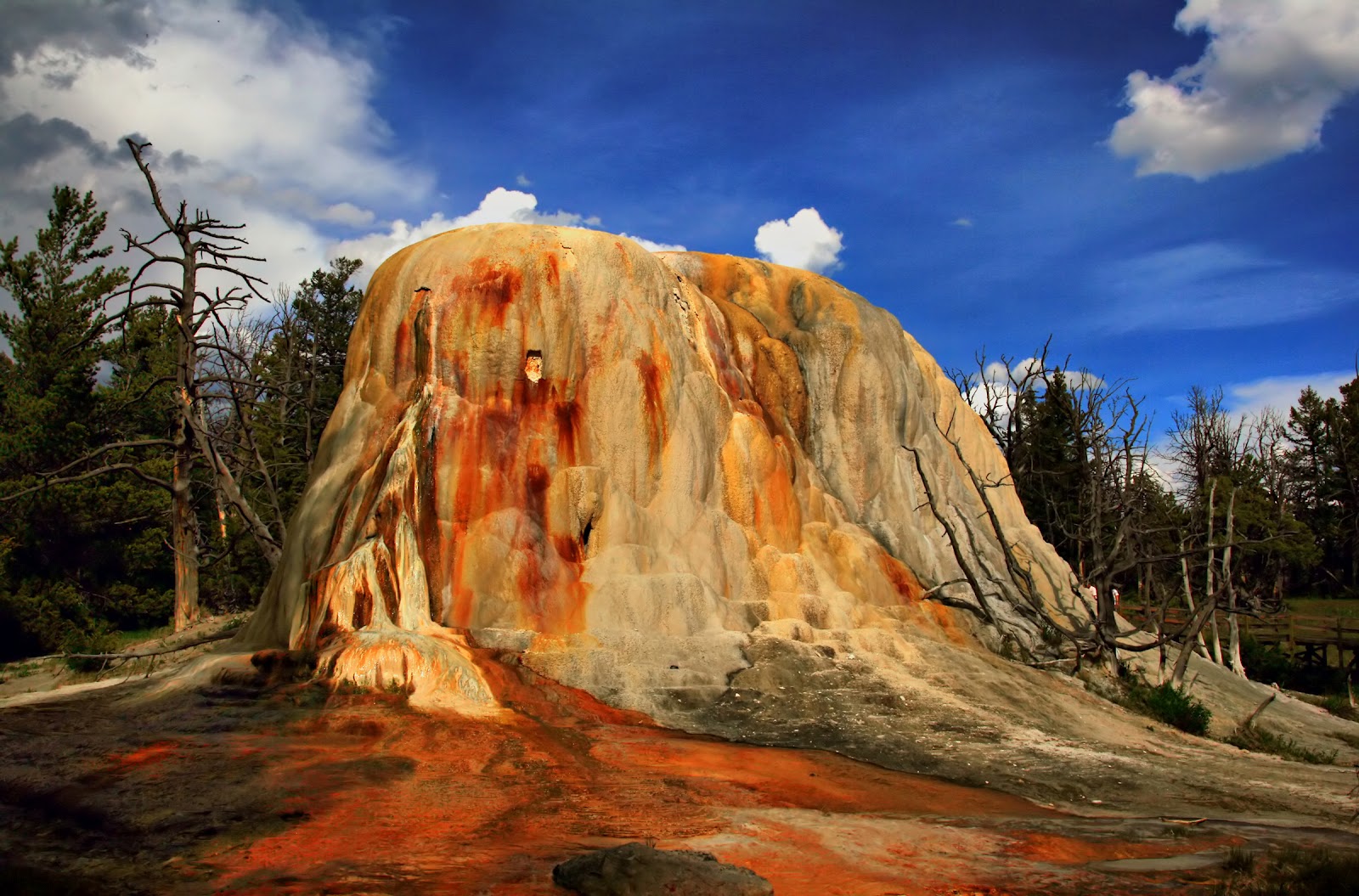 yellowstone landscape smyrna ga yellowstone landscape smyrna ga