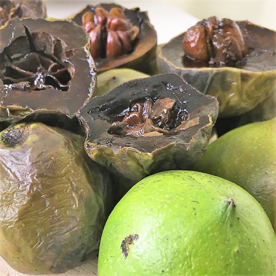 5five5 Black sapote