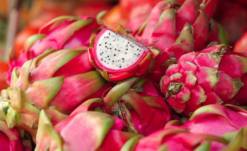 Dragon Fruit