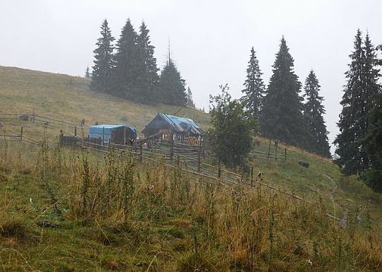 Szałas na połoninie Hermaniwka. Szałas na połoninie Hermaniwka.