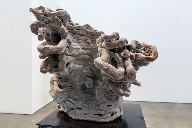 Arlene Schechet
