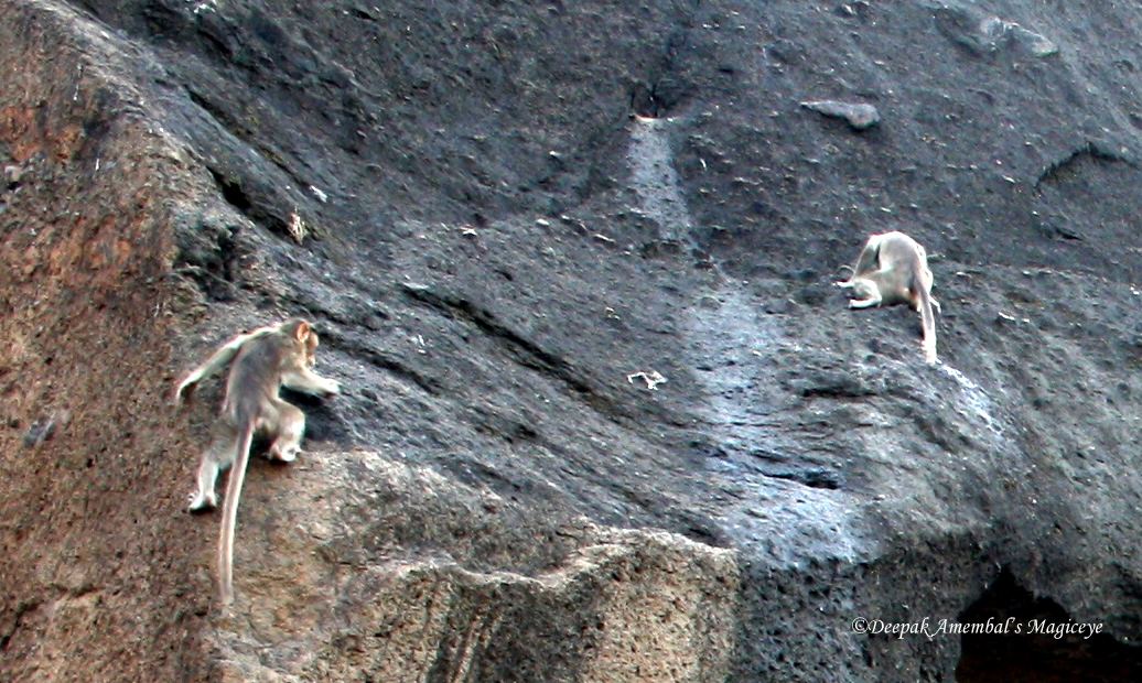 Mumbai Daily Rock climbers
