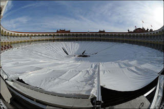 LOS HISTORIADORES: enero 2013