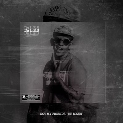 MashBeatz ft. Da L.E.S & A-Reece – Not My Friends (Re-Mash)