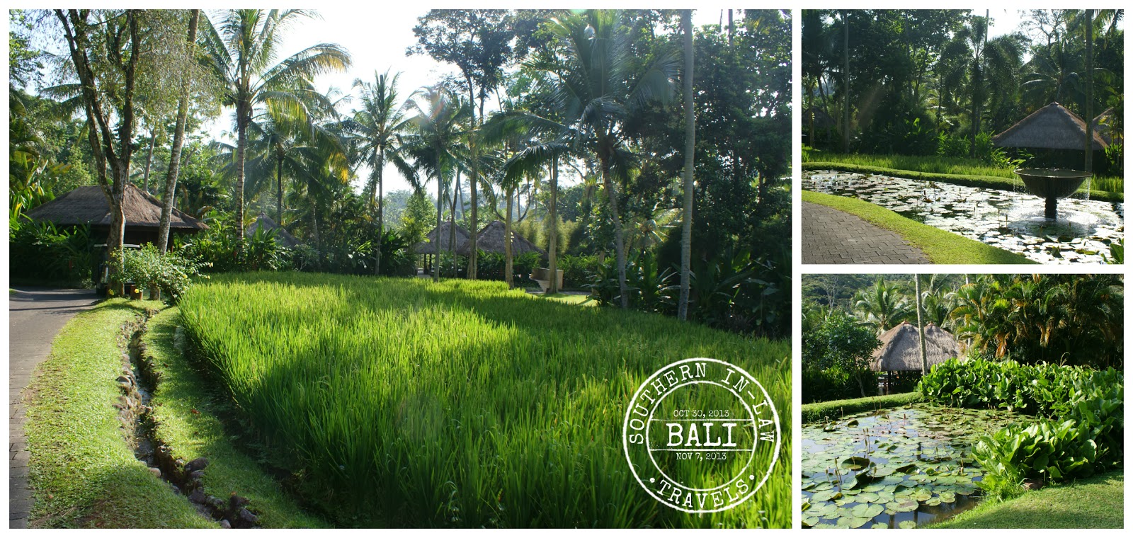 Four Seasons Sayan Bali Review - Gluten Free in Bali