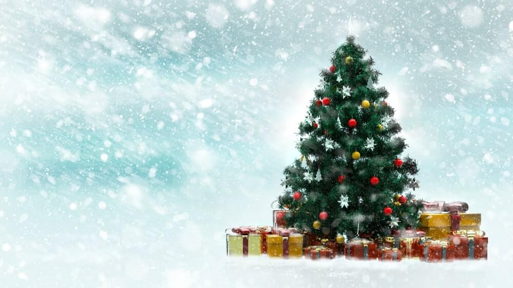 Christmas Trees Images Free Download