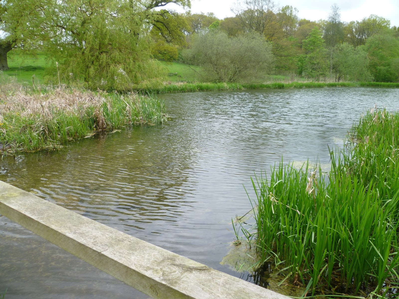 Third Age A walk through Londesborough Park