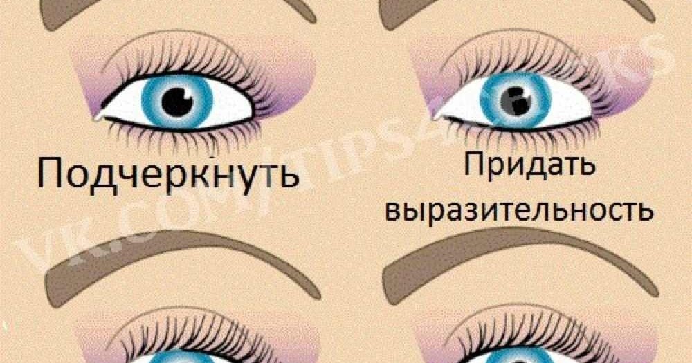 Как выглядят выразительные глаза. Выразительность глаз это. Макияж глаз для выразительности глаз. Зона выразительности глаз как найти. Типы разреза глаз.
