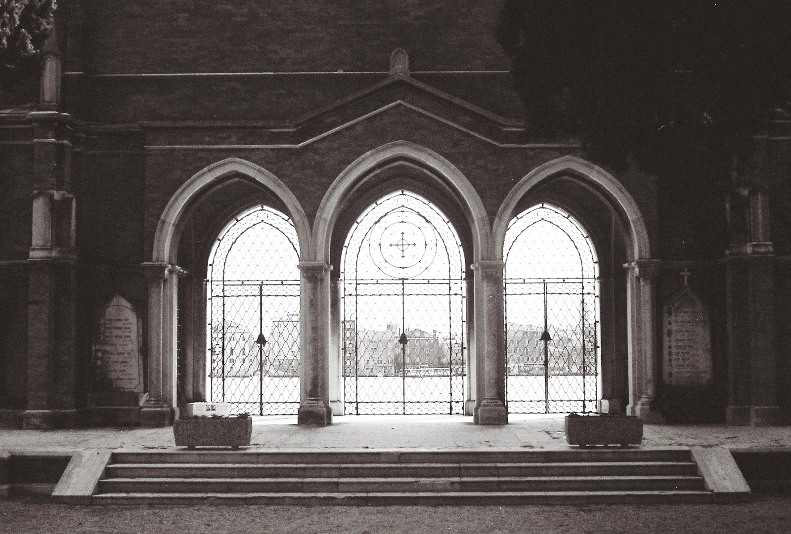 Old 35mm Film Roll Developed — Liquid Grain