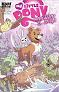 My Little Pony Friendship is Magic #23 Comic Cover Retailer Incentive Variant