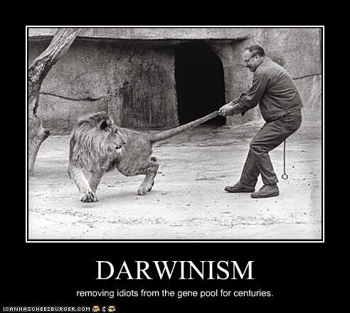 What are examples of Social Darwinism?