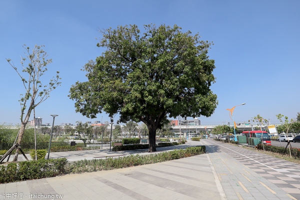 歷史建築帝國製糖廠台中營業所(台中產業故事館),湧泉公園賞星泉湖 歷史建築帝國製糖廠台中營業所(台中產業故事館),湧泉公園賞星泉湖