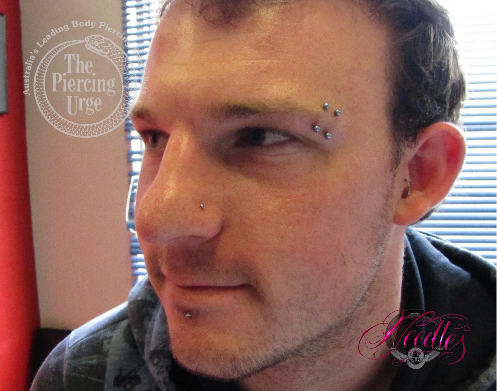 glass needles Double Eyebrow Piercing | 1600 x 1259