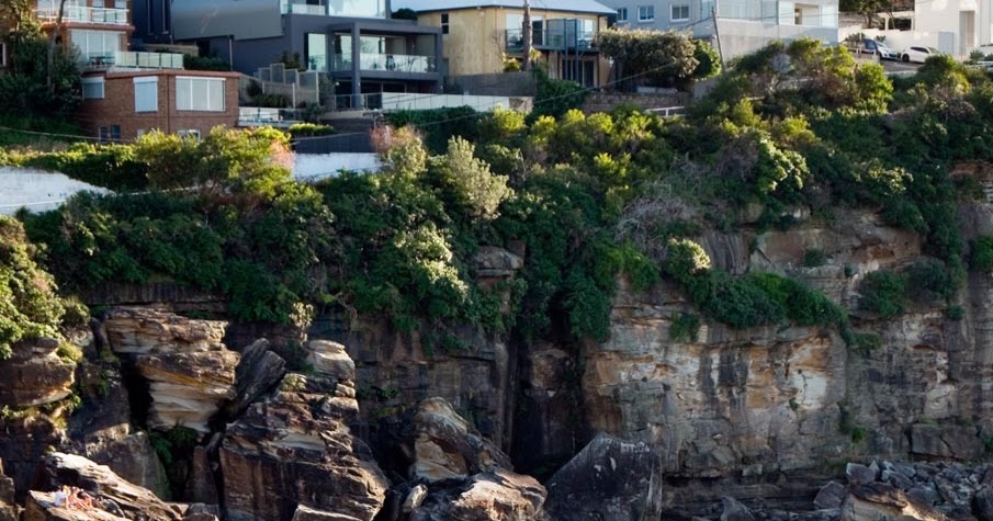 Nice Place To Walk Dog Sydney Nice Place To Walk Dog Sydney