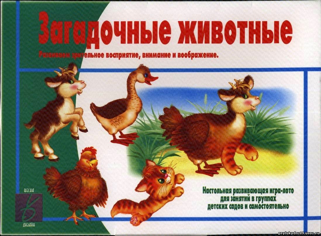 Інклюзивно-ресурсний центр Ірпінської міської ради: ЦІКАВІ ТВАРИНКИ