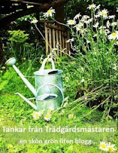 Svenska trädgårdsbloggar uppdelade per växtzon