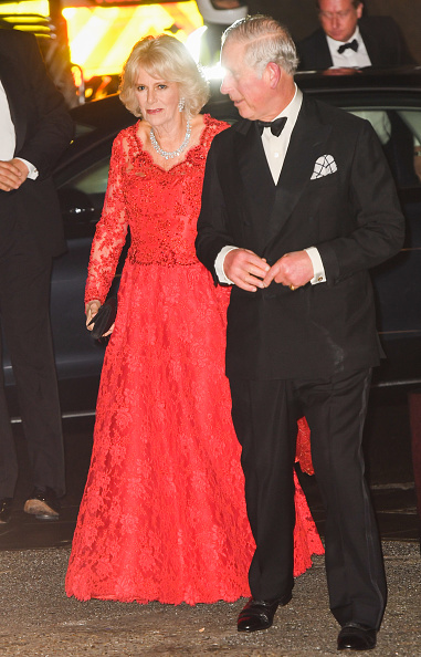 Royal Family Around the World: Prince Charles, Prince of Wales and