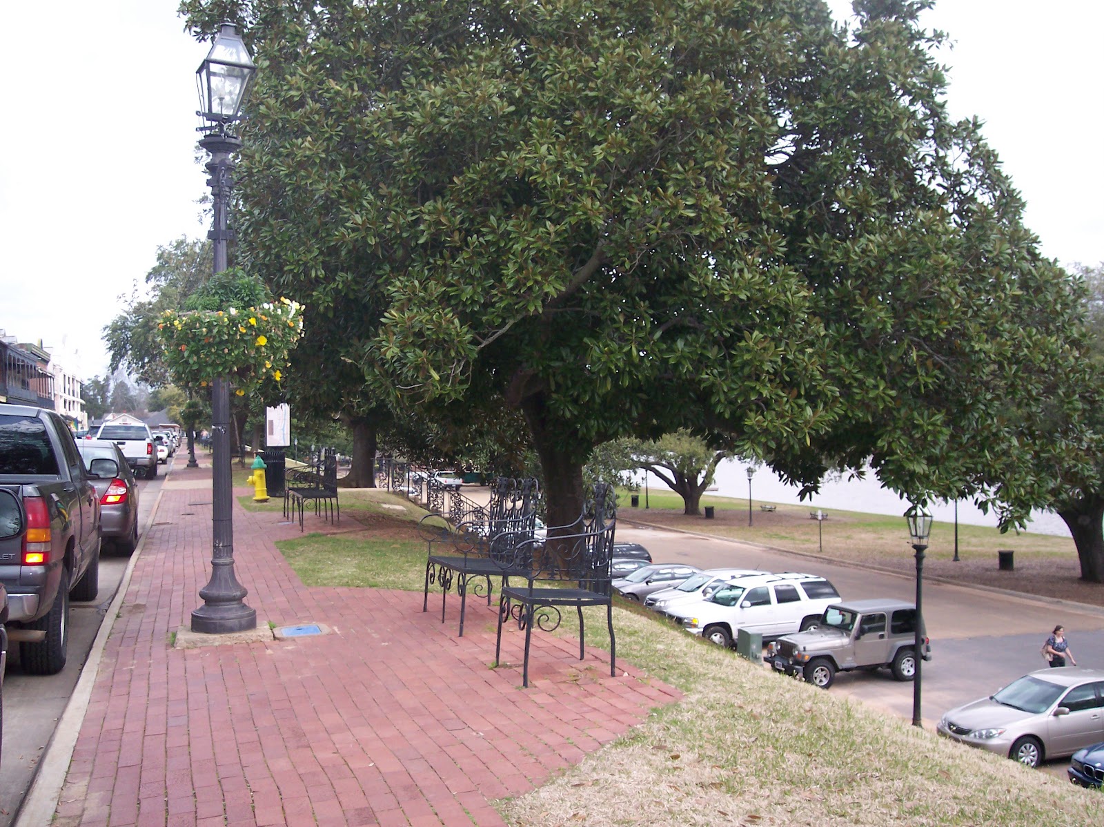 Janice's Travels Natchitoches, LA and Melrose Plantation