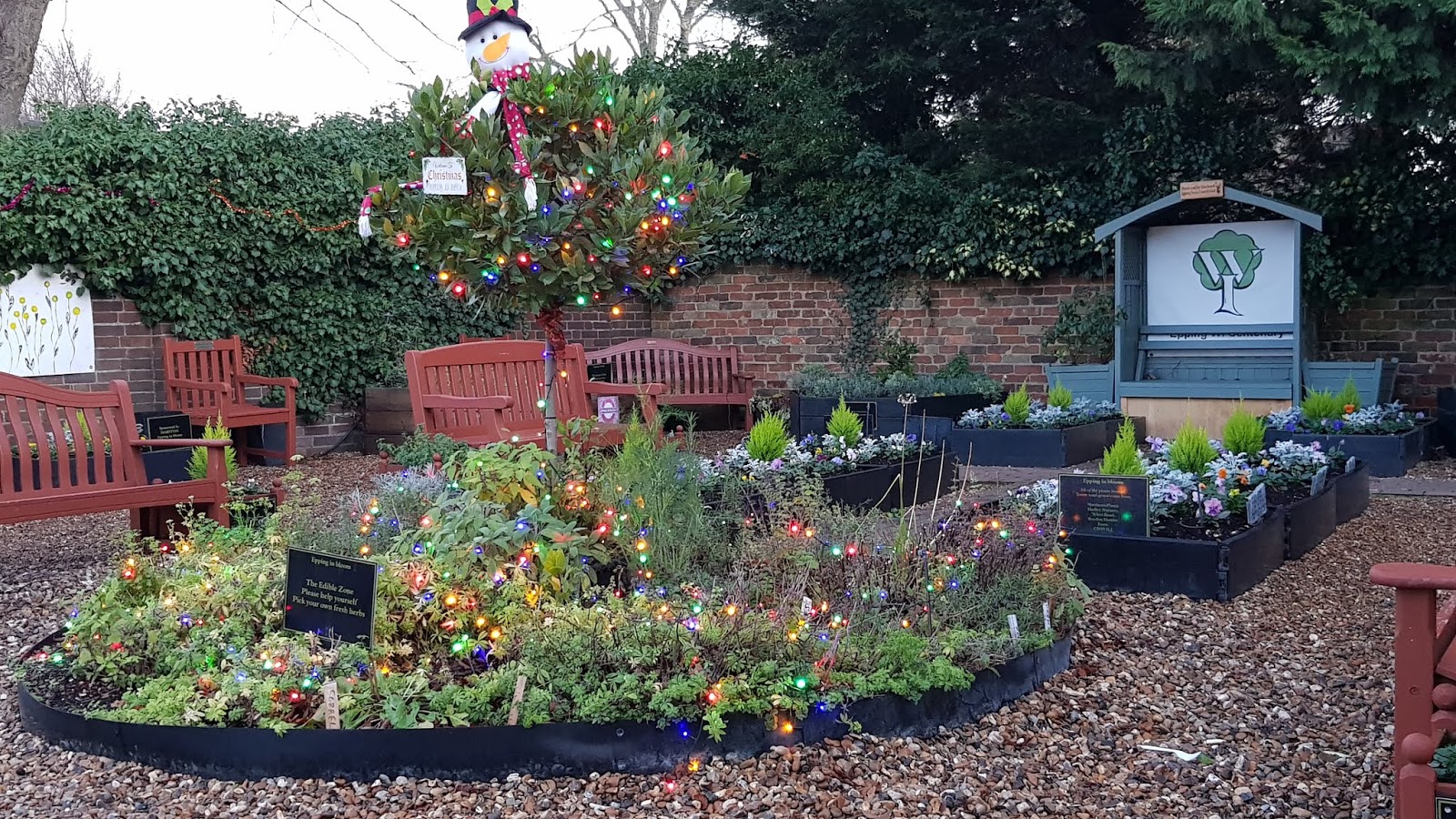 Christmas lights in the Epping community garden, Essex, UK