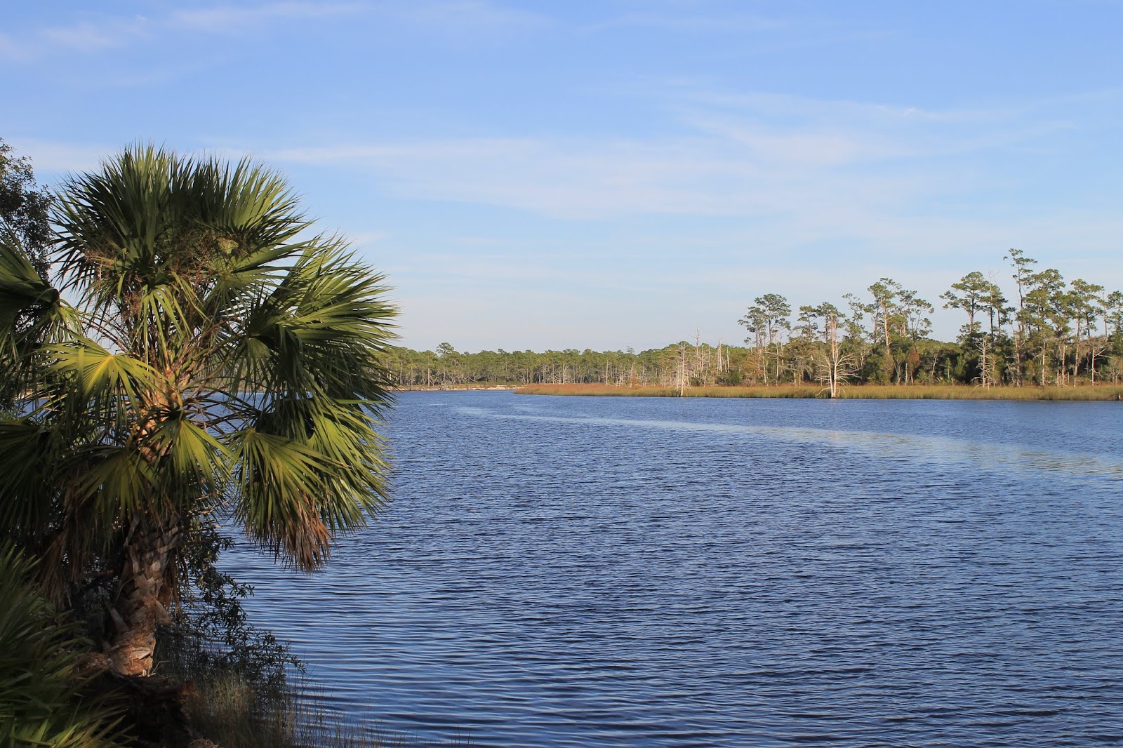 lovemycamper Ochlockonee River State Park, Sopchoppy, FL