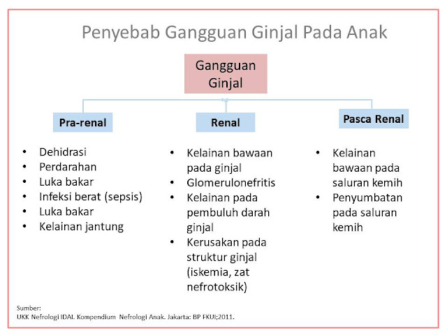 mencegah gangguan ginjal pada anak dengan cukupi asupan air putih