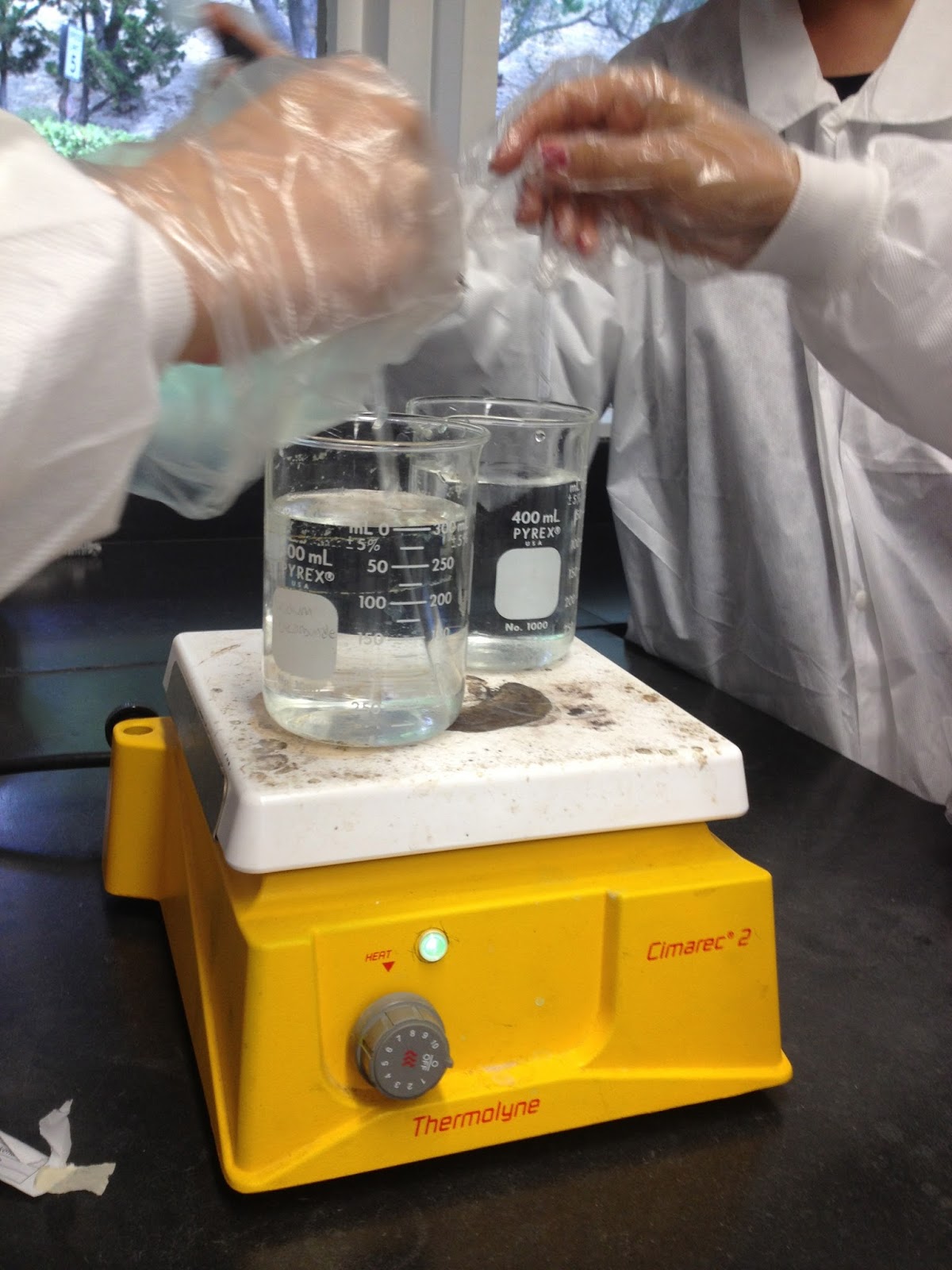 NGabbs Chem Blog Solubility Lab Report
