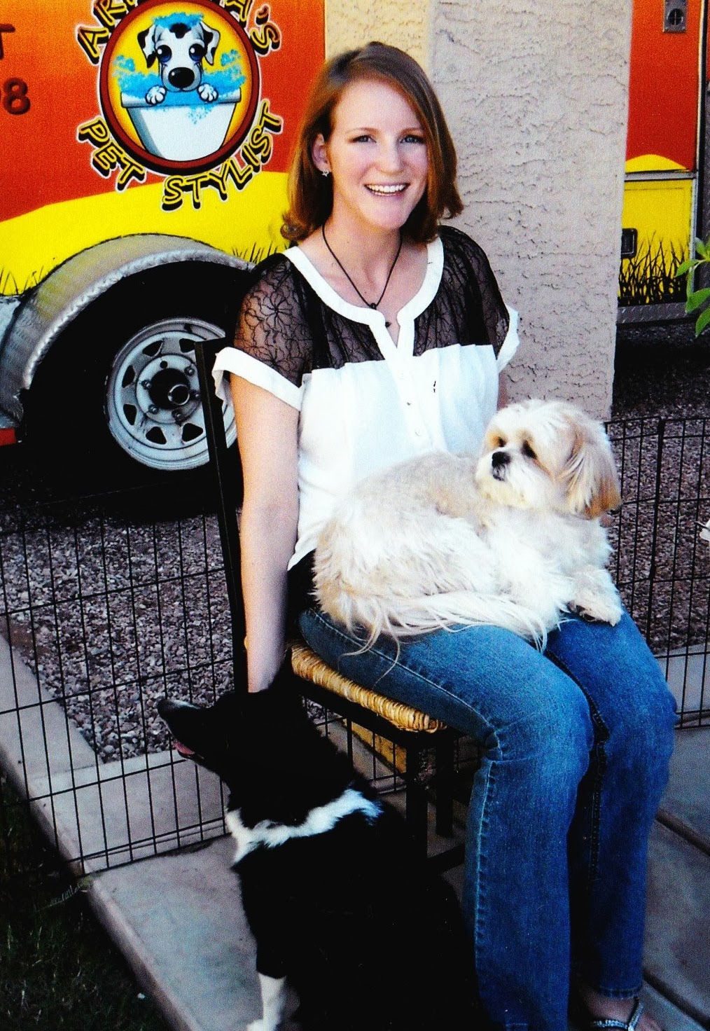 Cat groomer gilbert az