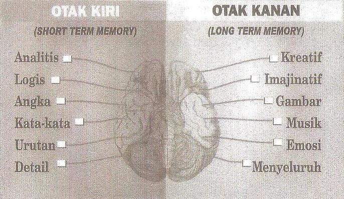 MMOCHAAUL Perbedaan Otak Kanan Dan Otak Kiri