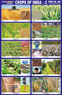 Crops of India Chart