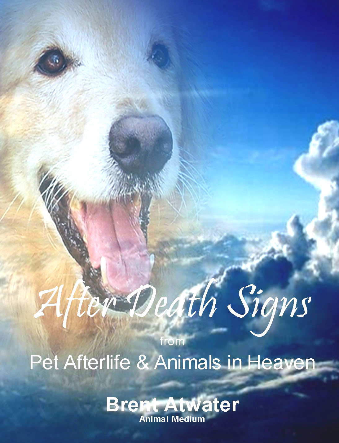 Signs from Pet Afterlife and Animals in Heaven after Death Learn How
