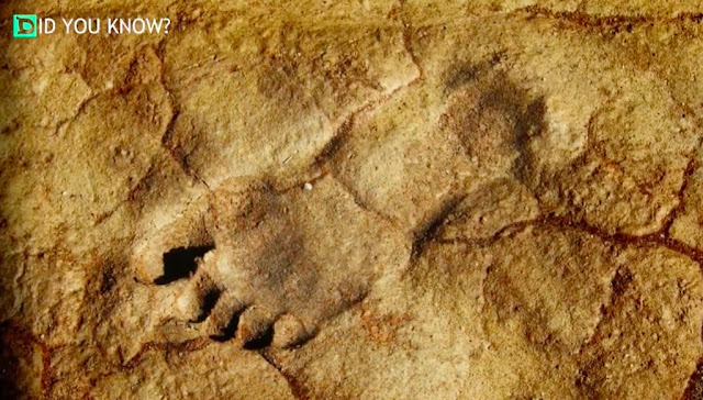Tìm thấy dấu chân của con người 13 nghìn năm tuổi