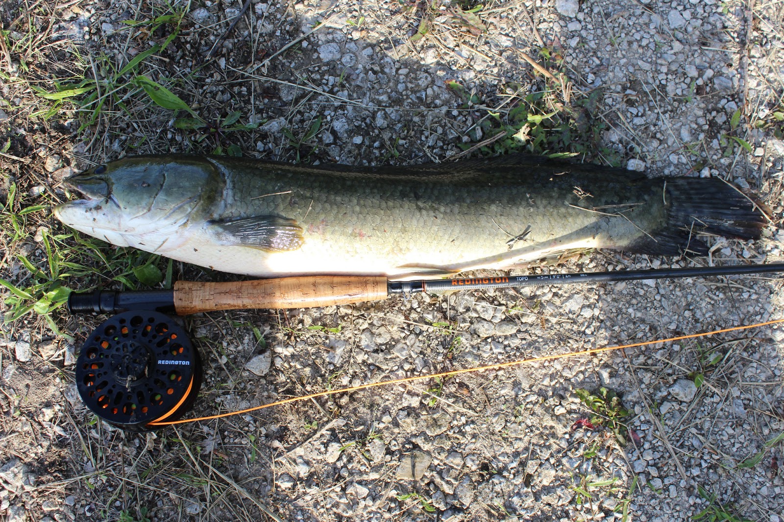 bowfin 720