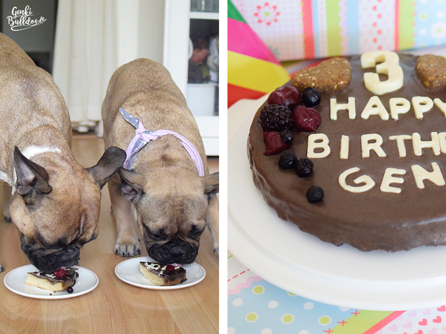 Rezept Schokoladen-Geburtstagskuchen für Hunde Hundekuchen Hundetorte selbst backen Rezept Schokoladen-Geburtstagskuchen für Hunde Hundekuchen Hundetorte selbst backen